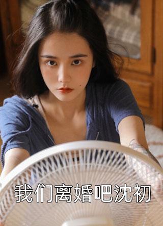 爆款小说我们离婚吧沈初全文免费阅读