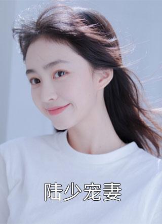 陆少宠妻欧阳小休小说最新章节阅读