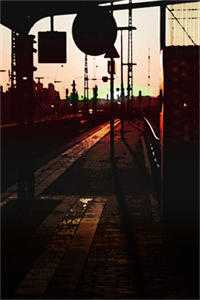 锦华葵小说(何殇离萧珩)_锦华葵全章节小说目录阅读