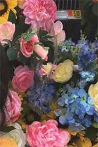 惜云府（屏卿萧行宋岩）全文免费阅读_惜云府（屏卿萧行宋岩）最新章节列表