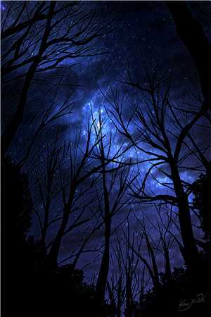 谢竹烟萧逸寒（谢竹烟萧逸寒）全文免费阅读_谢竹烟萧逸寒最新章节小说免费阅读_