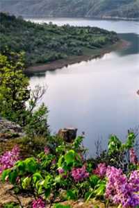 云止裴祁完本小说(裴祁云止)_云止裴祁最新章节列表