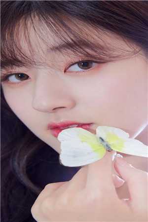 傅景霆夏北笙小说（傅景霆夏北笙）全文免费阅读_傅景霆夏北笙小说最新章节小说免费阅读_