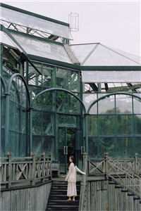 花昭熙秦南树小说（花昭熙秦南树）全文免费阅读_花昭熙秦南树小说最新章节列表（花昭熙秦南树）