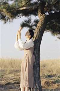 花云颜秦临渊小说（花云颜秦临渊）全文小说_花云颜秦临渊最新章节列表