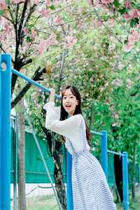 心跳一个频率（陈星源王思月）免费小说_心跳一个频率全文阅读