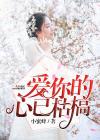 新上《此时恨你太薄情》小蜜蜂小说免费阅读