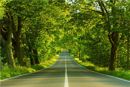 自恋小奶狗小说_（江止温安安）自恋小奶狗免费小说_（江止温安安）