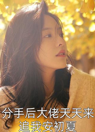 爆款小说分手后大佬天天来追我安初夏全文免费阅读
