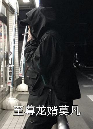 至尊龙婿莫凡小说 至尊龙婿莫凡免费阅读