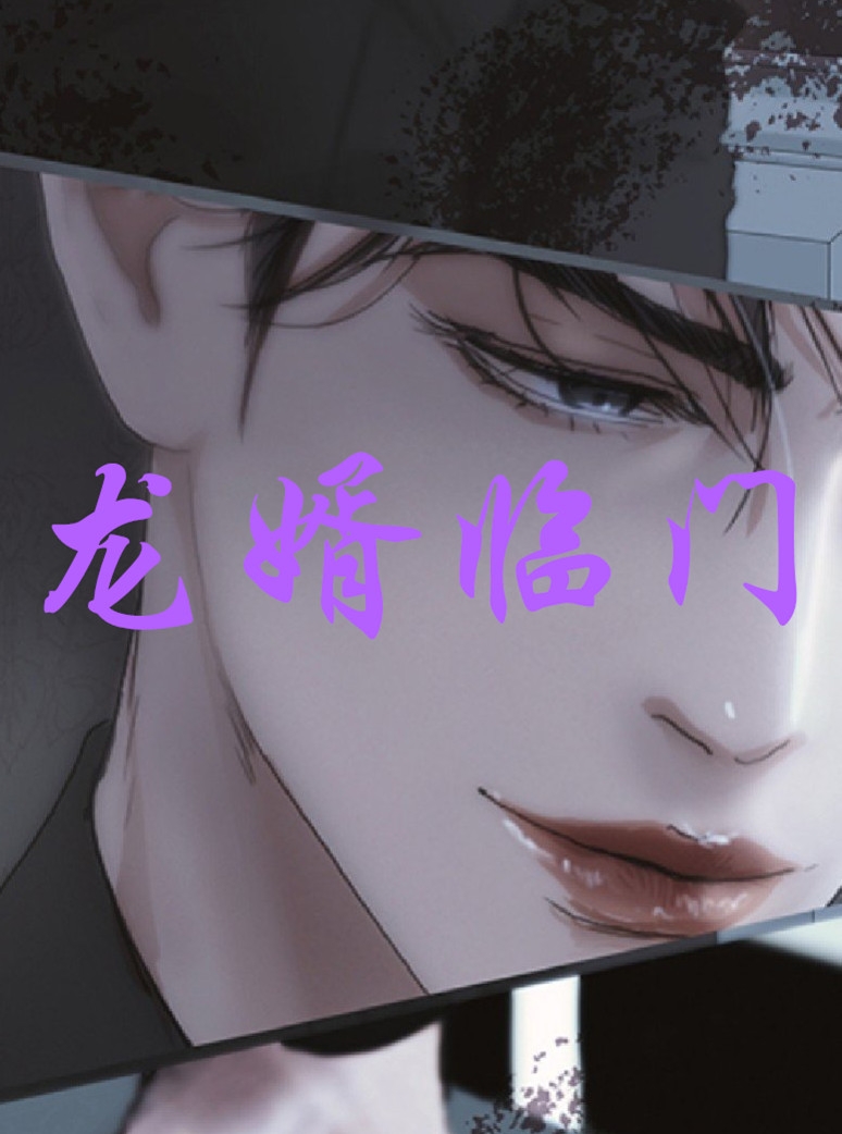 龙婿临门