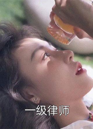 好看的一级律师小说_一级律师最新章节阅读