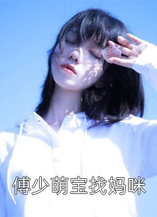 《傅少萌宝找妈咪》完结小说(全文在线阅读)