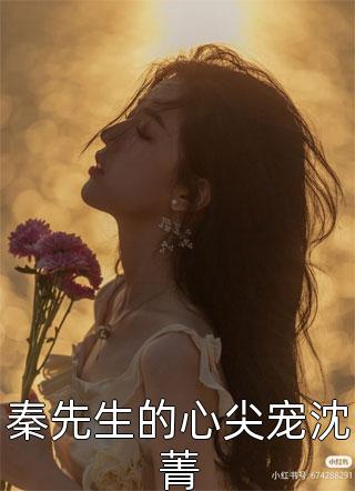 秦先生的心尖宠沈菁小说 秦先生的心尖宠沈菁免费阅读