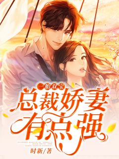 一胎双宝总裁娇妻有点强全文阅读 时新章节阅读