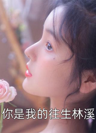 你是我的往生林溪免费小说万小烟全文阅读