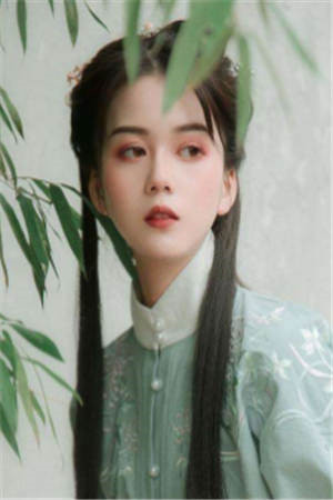 无敌师尊收徒系统