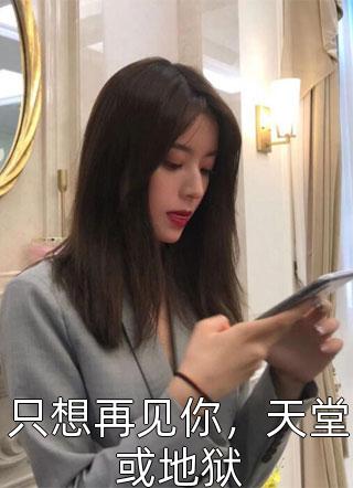 爆款小说只想再见你，天堂或地狱全文免费阅读