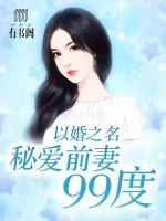 以婚之名：秘爱前妻99度