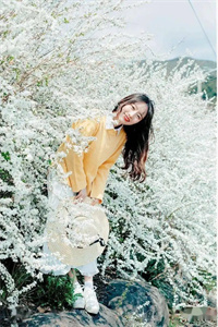 云清婳萧景辰（云清婳萧景辰）小说全文免费阅读_ (云清婳萧景辰)云清婳萧景辰最新章节列表_（云清婳萧景辰）