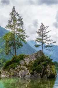  除却巫山不是云知乎小说(花凝雪秦萧逸)全文免费在线阅读_ 除却巫山不是云最新章节列表