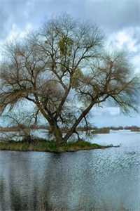 刺激的急救（温雨晴薛和平）全文小说_刺激的急救最新章节列表