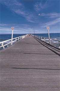 江书华乔如邱婷（学霸改变我想法）全文免费阅读_江书华乔如邱婷最新章节列表