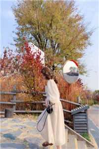 双刃网络小说（宋时砚陆冉）全文免费阅读_（双刃网络小说）宋时砚陆冉最新章节列表_（双刃网络）