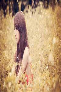 容舒顾长晋（容舒顾长晋小说）全文免费阅读_容舒顾长晋小说最新章节列表