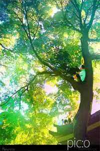 带娃进宫（薛念念狗皇帝）全文免费阅读（薛念念狗皇帝）_带娃进宫（薛念念狗皇帝）全文阅读_（薛念念狗皇帝）