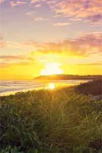 坐等渣男破产小说（周岩金橙）全文免费阅读_（坐等渣男破产）坐等渣男破产最新章节列表（周岩金橙）