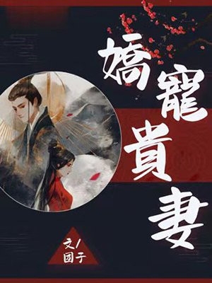 完结版小说娇宠贵妻第2章阅读