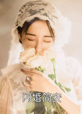 《闪婚简安》小说完整章节闪婚简安免费阅读