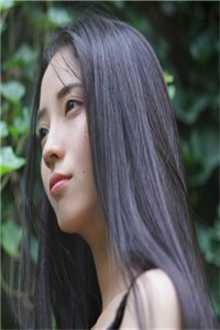 (全章节)万重峰竹林莲灯-万重峰竹林莲灯春雷炮在线阅读