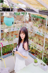 寒灯纸上等风也等你全文免费阅读(沈清月叶墨沉叶剑)完结版阅读