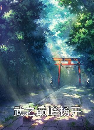 《武之巅峰杨开》完结小说(全文在线阅读)
