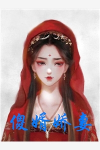 傻婿娇妻