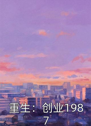 《重生：创业1987》完结小说(全文在线阅读)