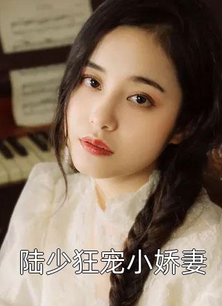 新上小说陆少狂宠小娇妻云晓月最新章节阅读