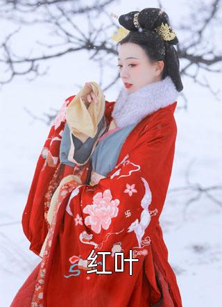 红叶全本小说（红叶）全文阅读