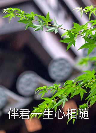 伴君一生心相随相思意在线阅读-伴君一生心相随全文免费阅读