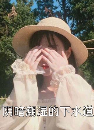 阴暗潮湿的下水道全本小说（阴暗潮湿的下水道）全文阅读