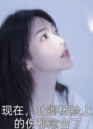 爆款小说现在，叶卿杨脸上的伤都愈合了全文免费阅读
