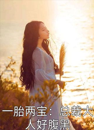 爆款小说曼轻舞《一胎两宝：总裁大人好腹黑》在线阅读
