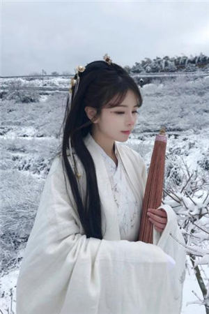 宋晨穿越古代傻子农女小说-宋晨苍修玄小说完整版阅读