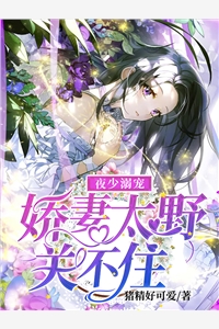 小说夜少溺宠：娇妻太野关不住主角为乔奈宫骁免费阅读