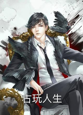好看的古玩人生小说_古玩人生最新章节阅读