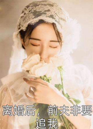 《离婚后，前夫非要追我》完结小说(全文在线阅读)