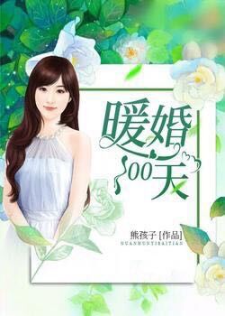 《暖婚100天》熊孩子在线阅读-《暖婚100天》全文免费阅读