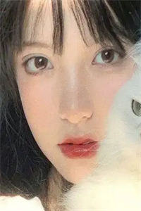 林北星沈万森《林北星沈万森》全文小说免费阅读